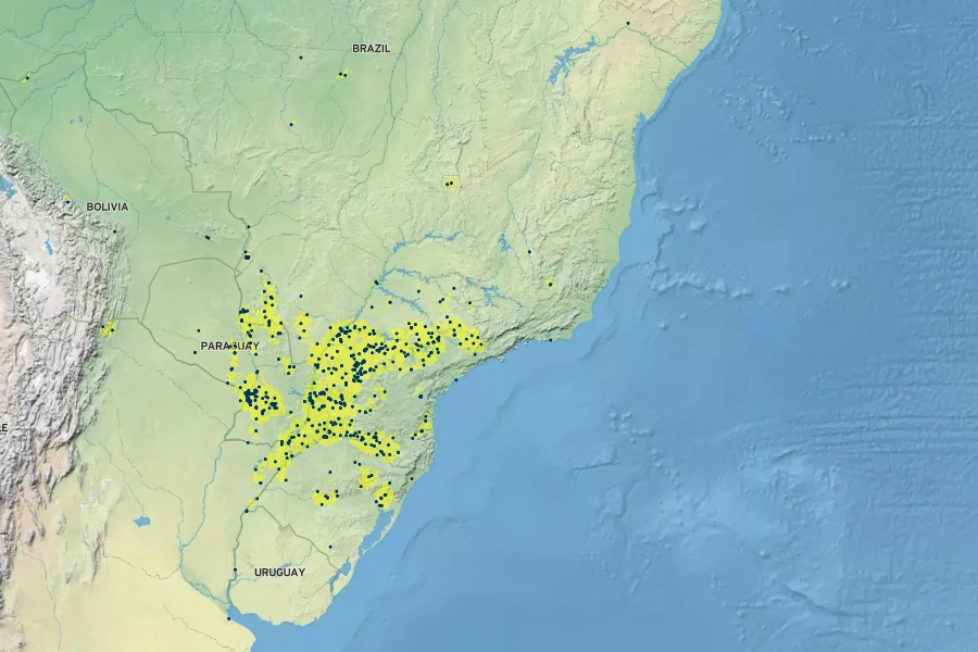 Parapiptadenia rigida Native Range