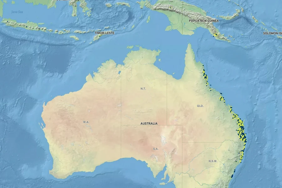 Pararchidendron pruinosum Native Range
