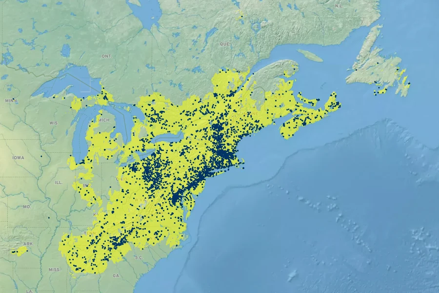 Parathelypteris noveboracensis Native Range