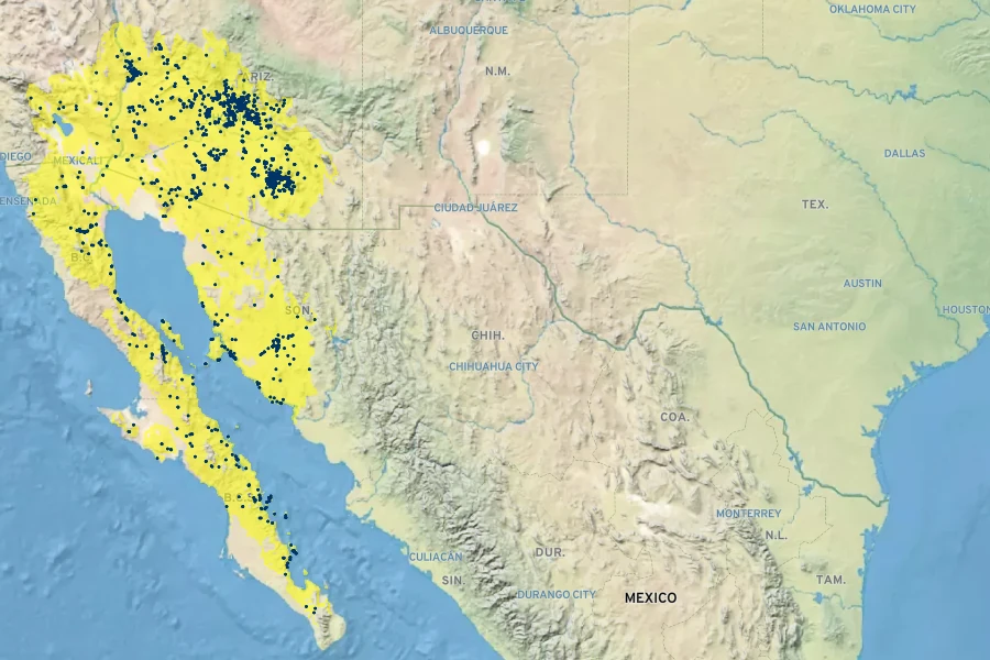 Parkinsonia microphylla Native Range