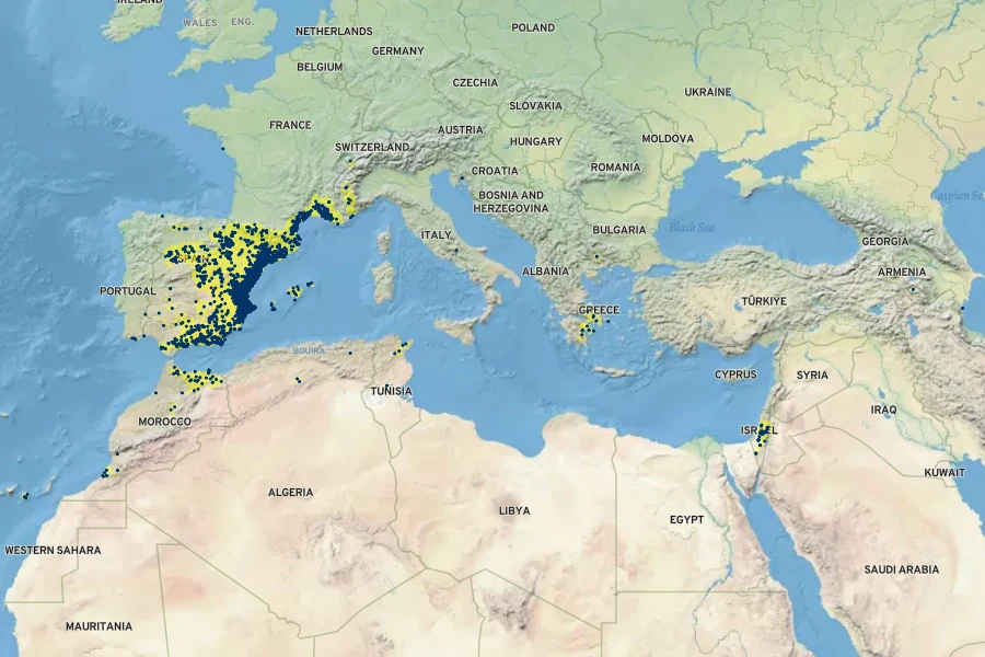 Paronychia capitata Native Range