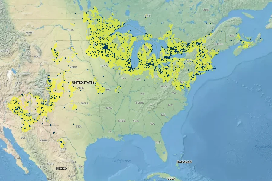Parthenocissus vitacea Native Range