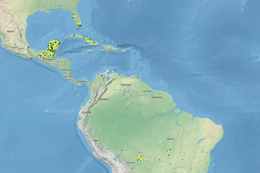 Paspalum caespitosum Native Range