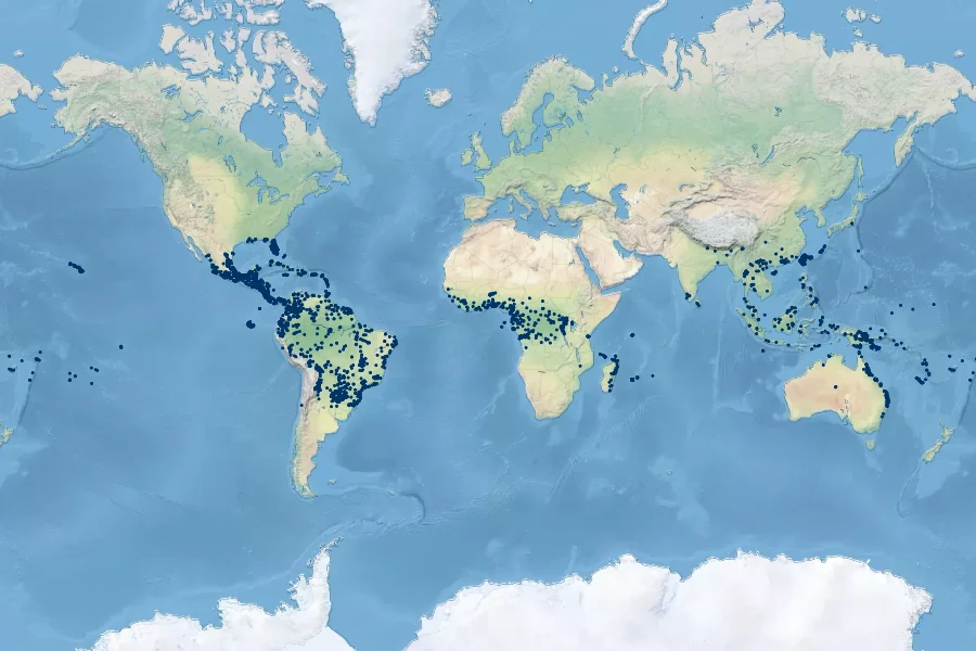 Paspalum conjugatum Native Range