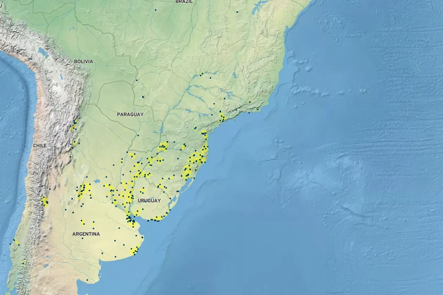 Paspalum dilatatum Native Range