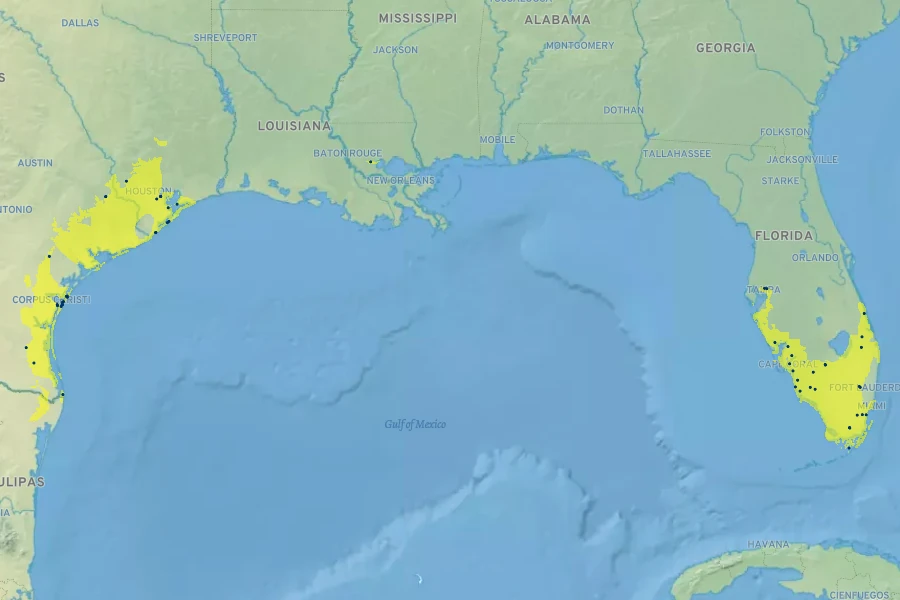 Paspalum monostachyum Native Range