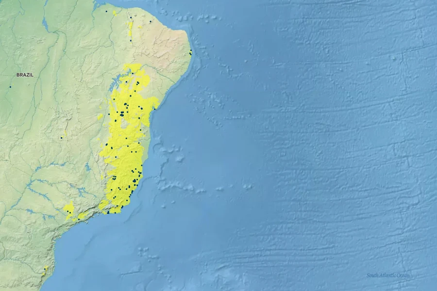 Passiflora kermesina Native Range