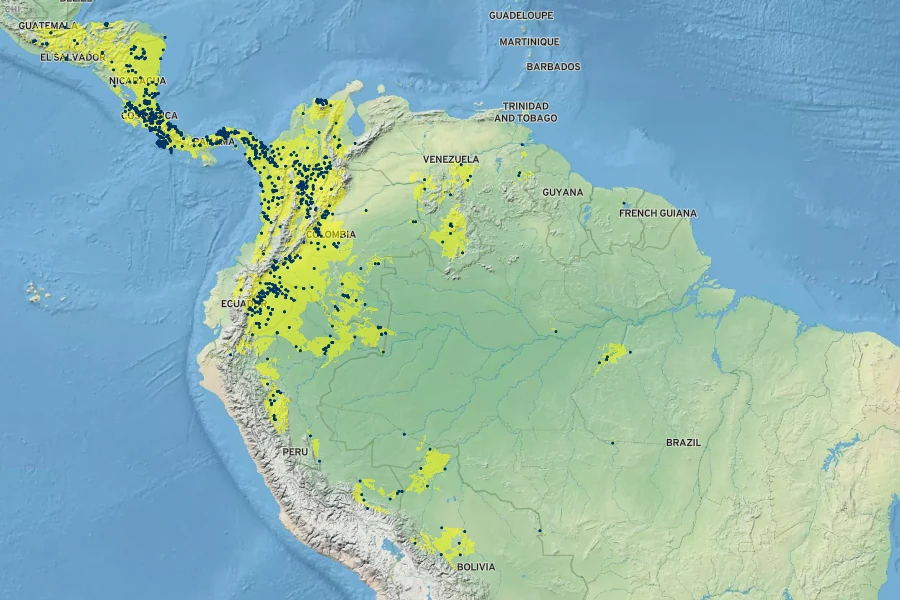 Passiflora vitifolia Native Range