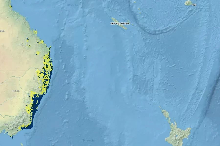 Patersonia glabrata Native Range