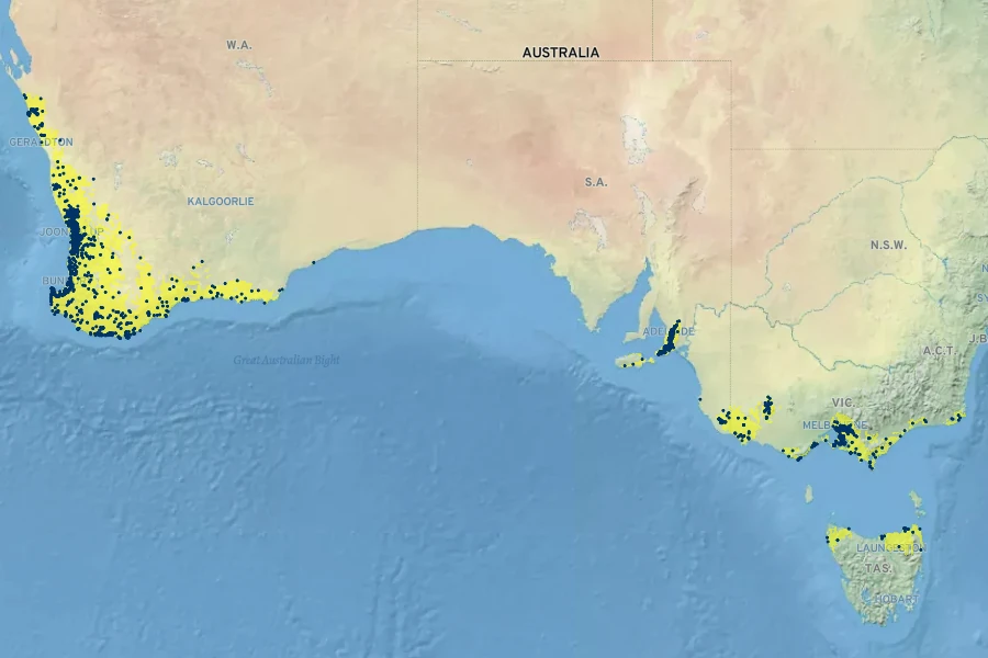Patersonia occidentalis Native Range