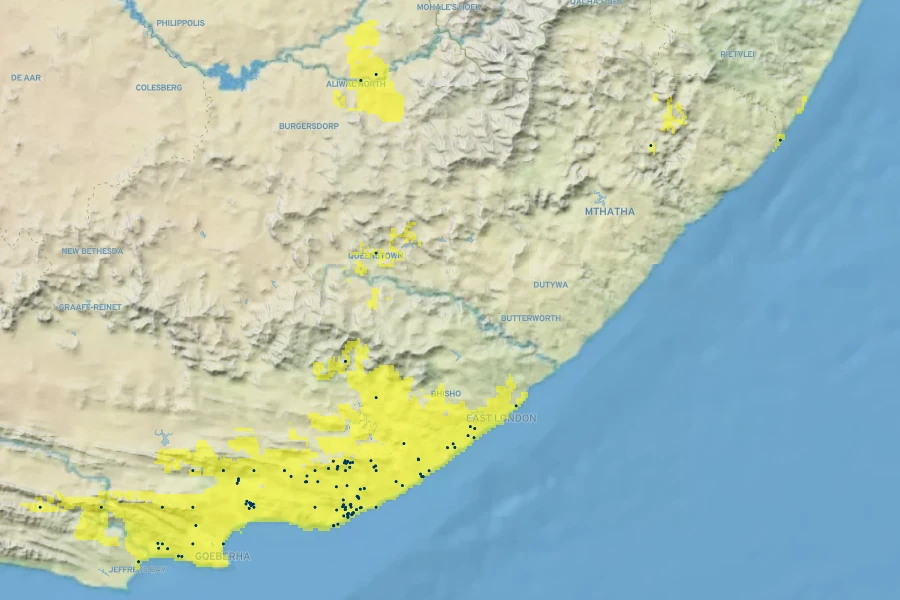 Pavonia praemorsa Native Range