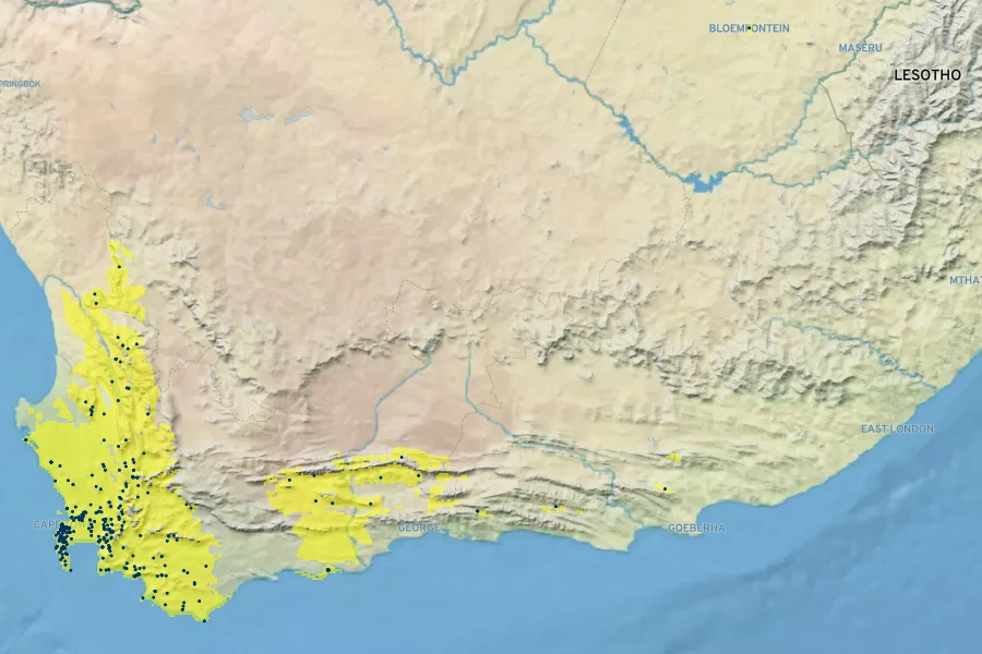Pelargonium myrrhifolium Native Range