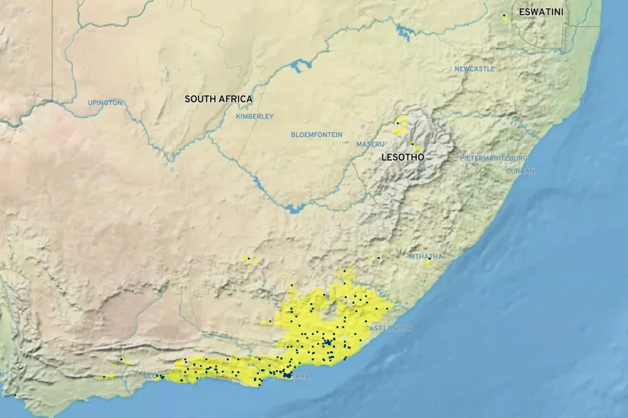 Pelargonium reniforme Native Range