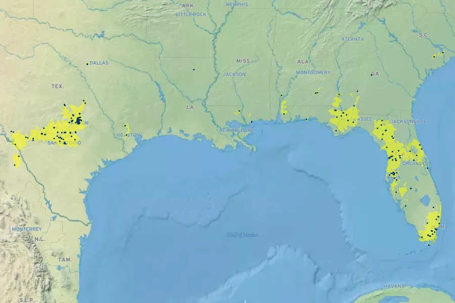 Pelazoneuron ovatum Native Range