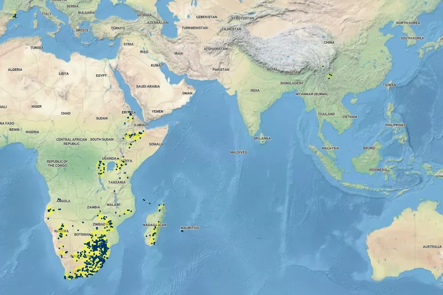 Pellaea calomelanos Native Range