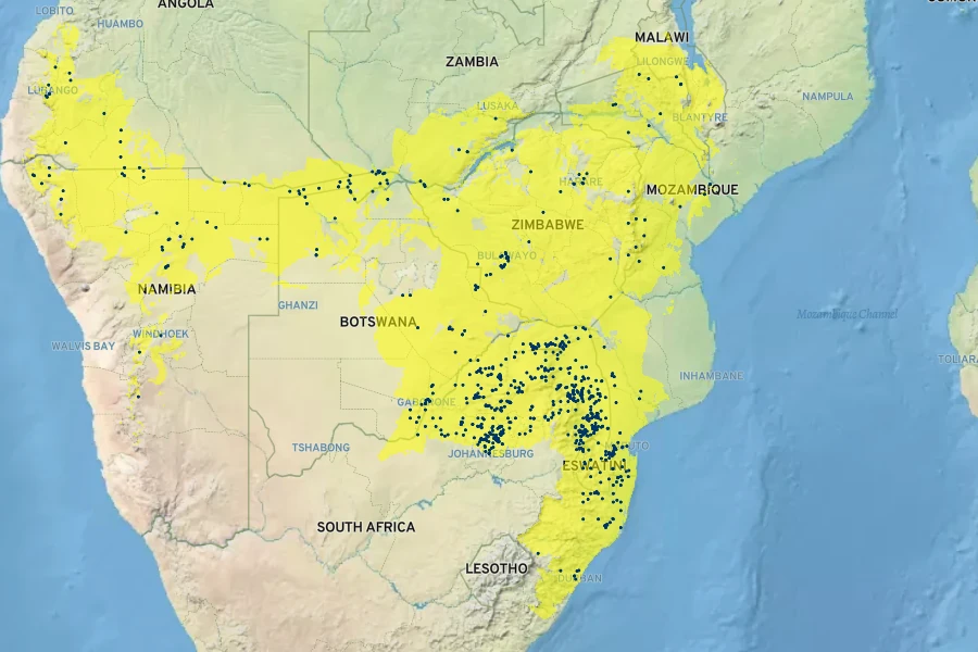 Peltophorum africanum Native Range