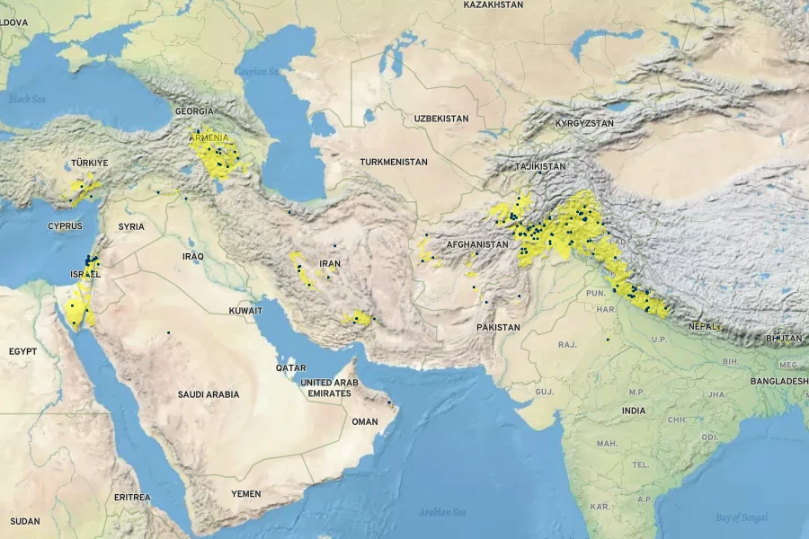 Pennisetum orientale Native Range
