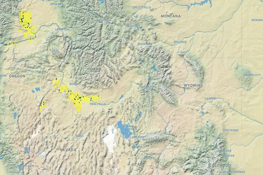 Penstemon acuminatus Native Range