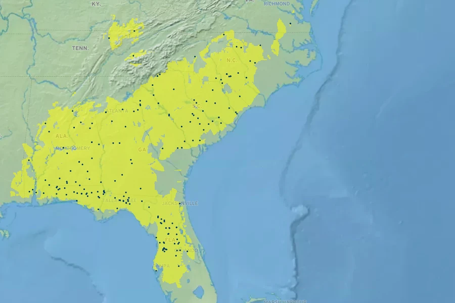 Penstemon australis Native Range