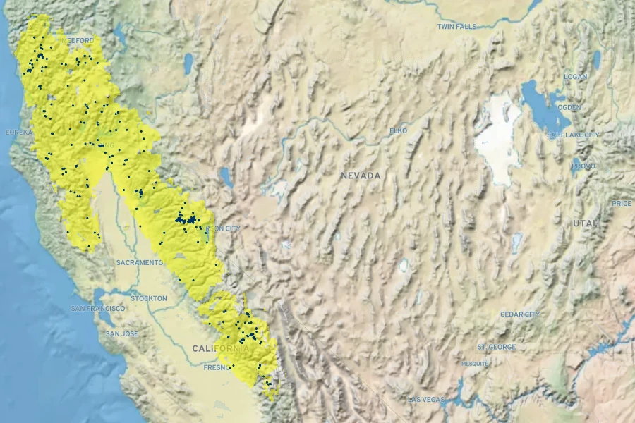 Penstemon azureus Native Range