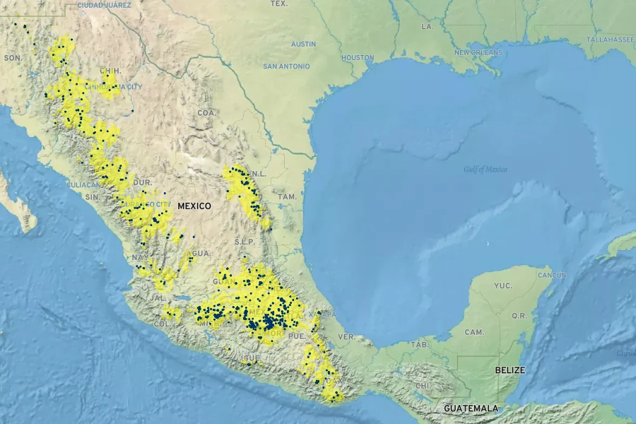 Penstemon campanulatus Native Range