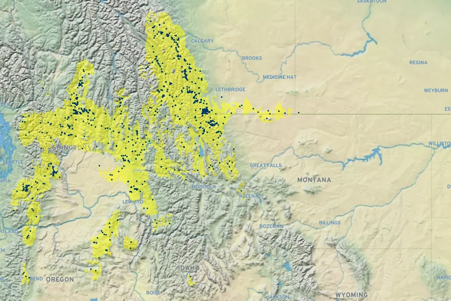 Penstemon confertus Native Range