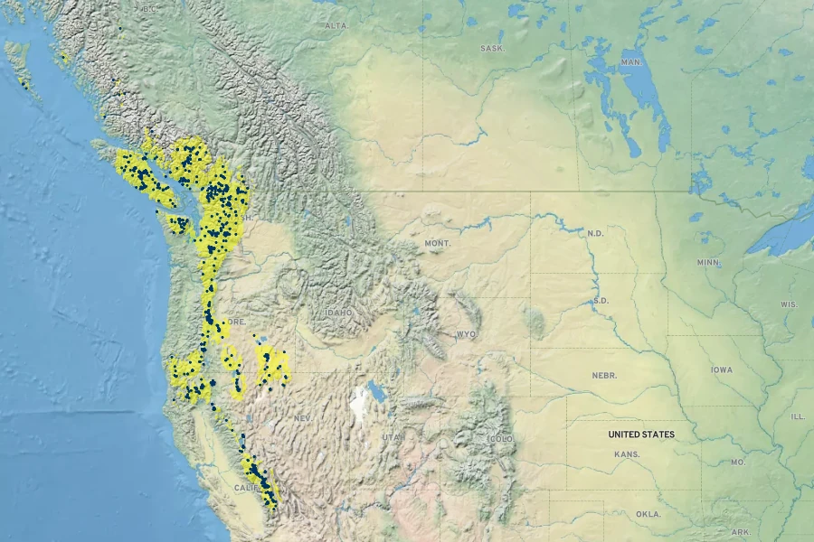 Penstemon davidsonii Native Range