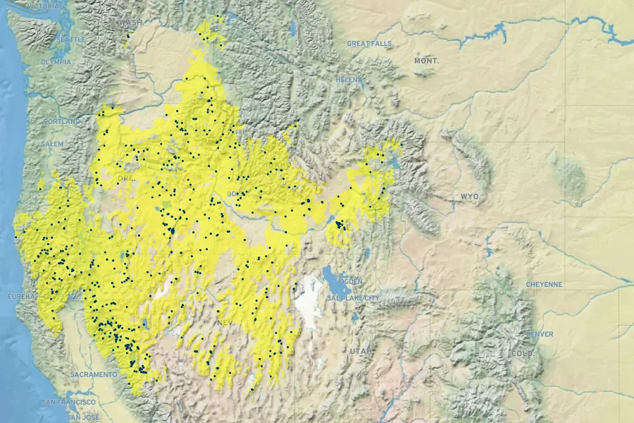 Penstemon deustus Native Range