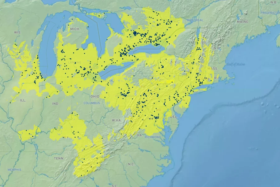 Penstemon hirsutus Native Range