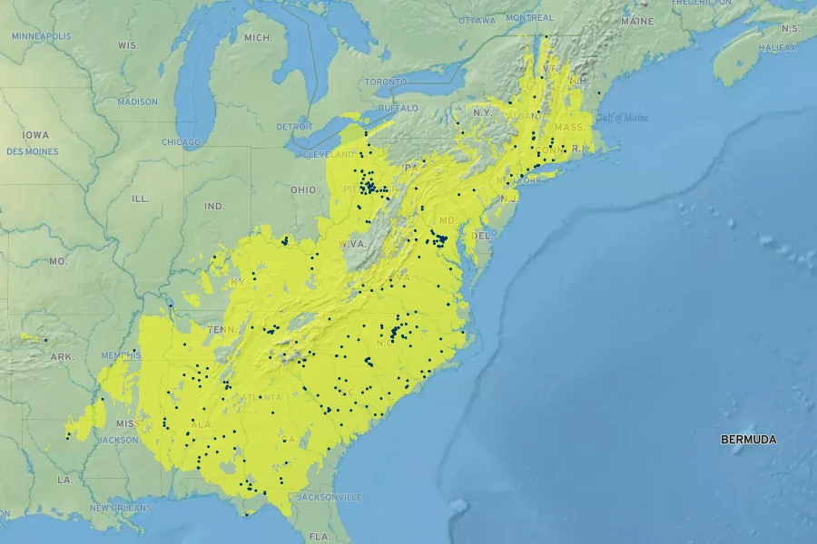 Penstemon laevigatus Native Range