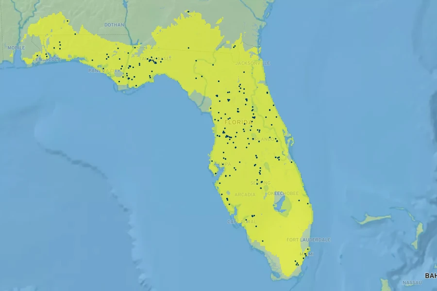 Penstemon multiflorus Native Range