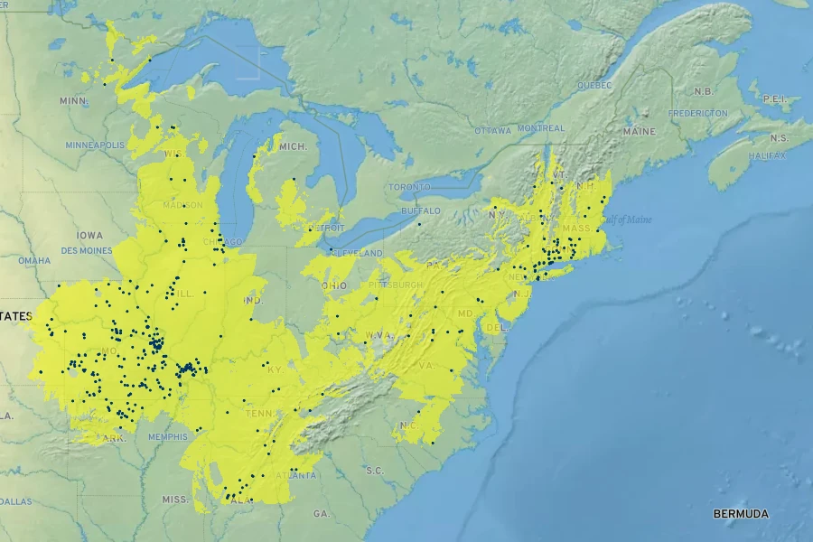 Penstemon pallidus Native Range