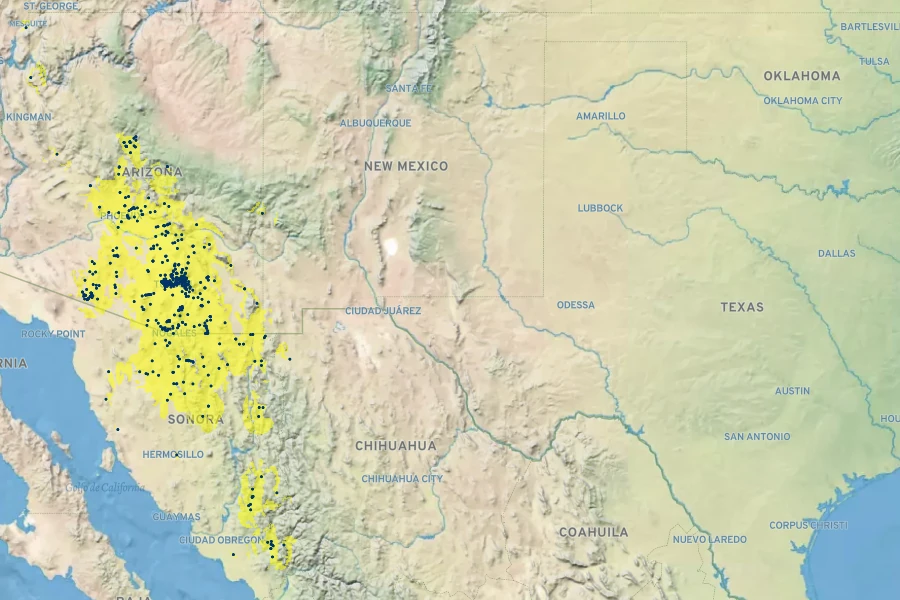 Penstemon parryi Native Range