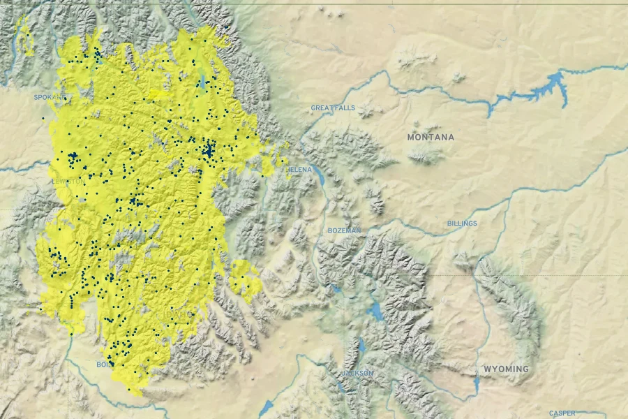 Penstemon wilcoxii Native Range