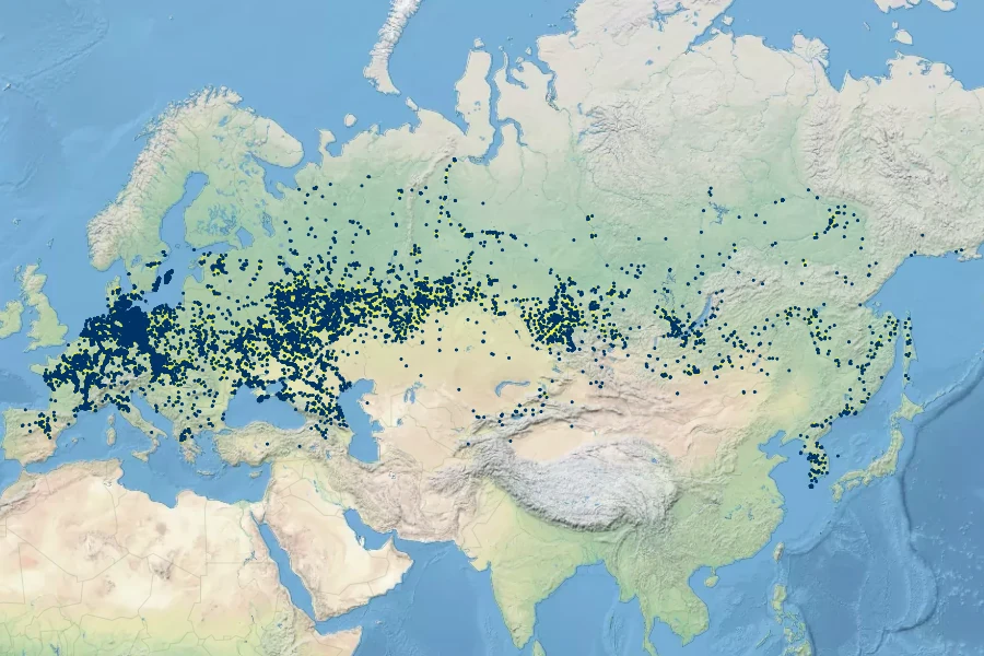 Pentanema britannicum Native Range