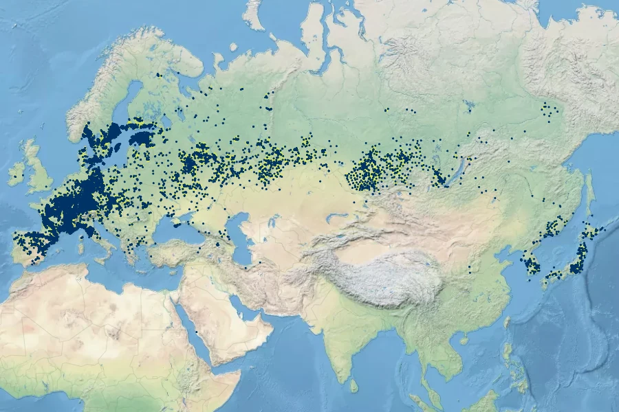 Pentanema salicinum Native Range
