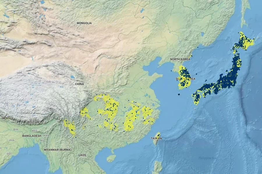 Pentarhizidium orientale Native Range