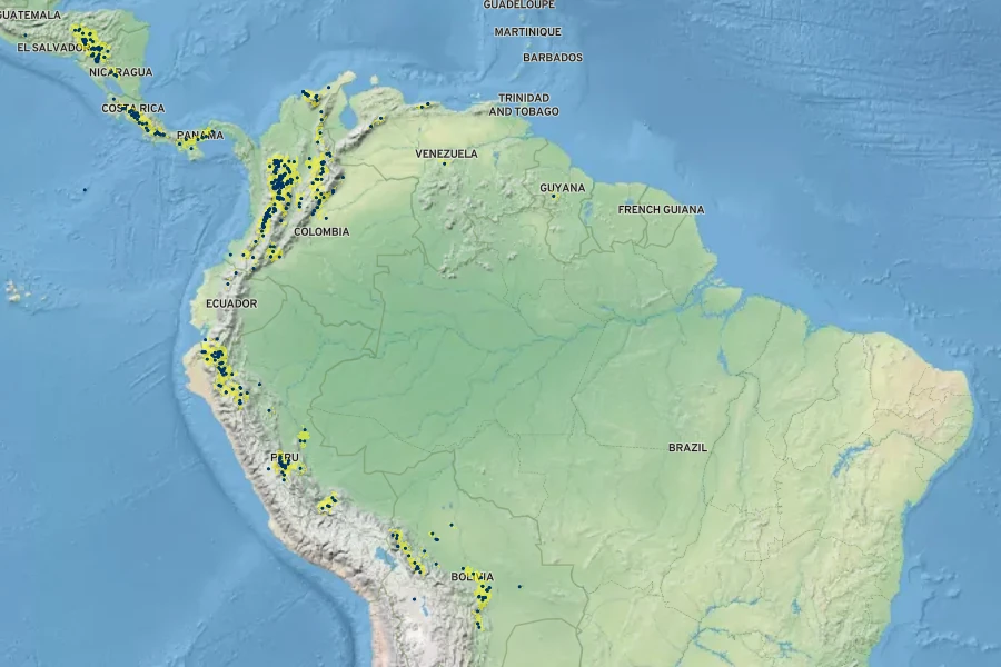 Persea caerulea Native Range