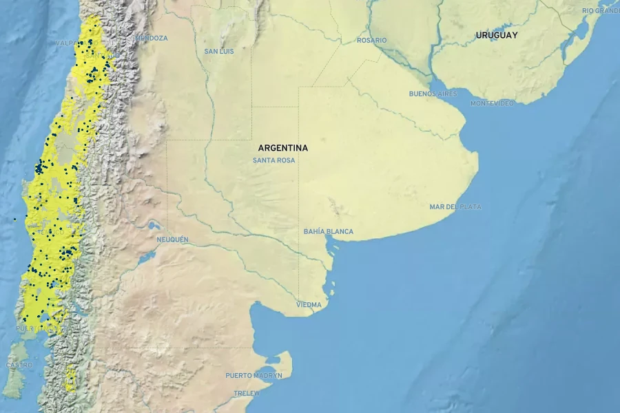 Persea lingue Native Range