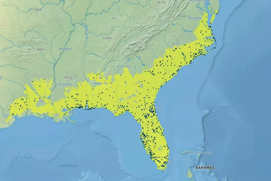 Persea palustris Native Range
