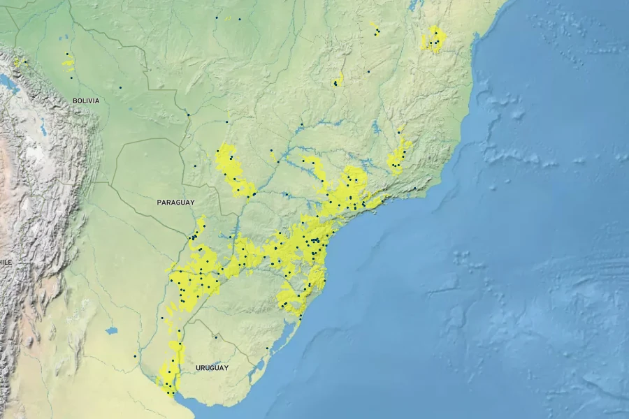 Persicaria meisneriana Native Range