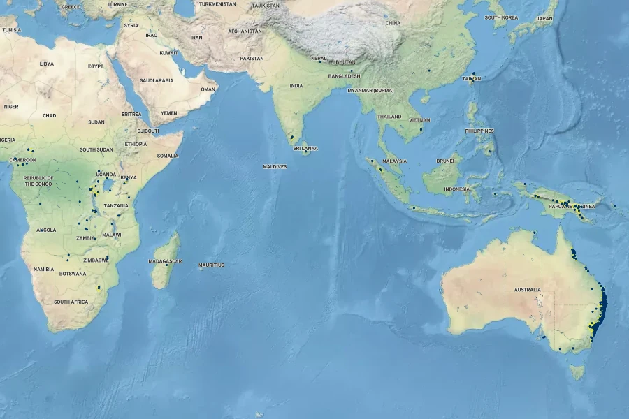 Persicaria strigosa Native Range