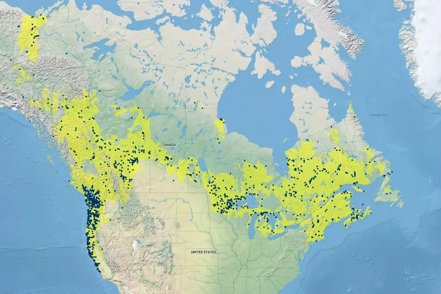 Petasites palmatus Native Range