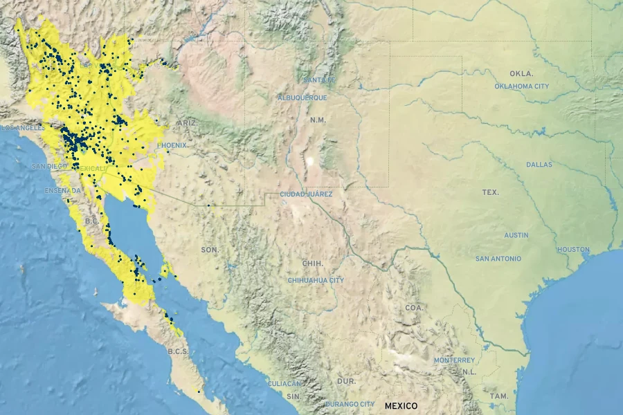 Peucephyllum schottii Native Range