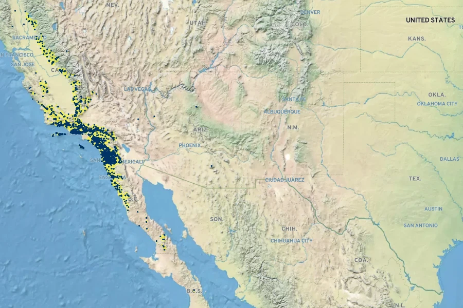 Phacelia cicutaria Native Range