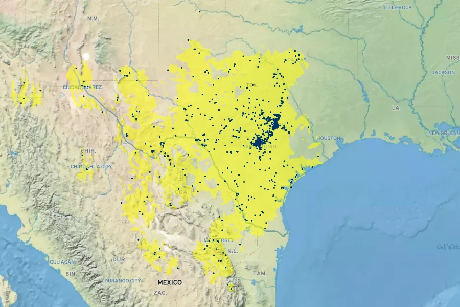 Phacelia congesta Native Range