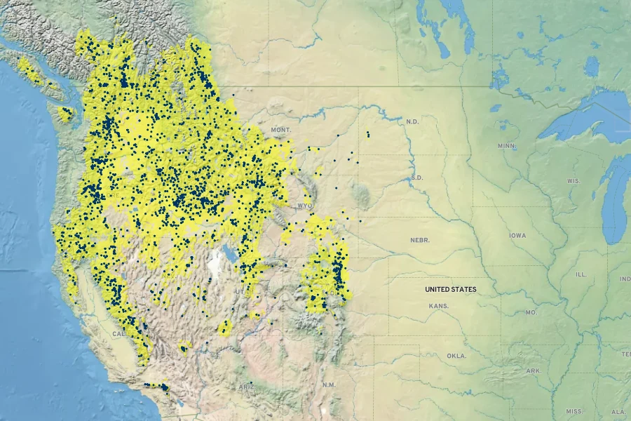Phacelia hastata Native Range