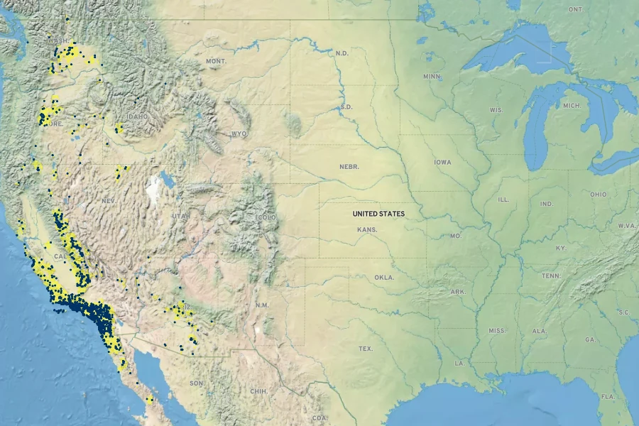 Phacelia ramosissima Native Range