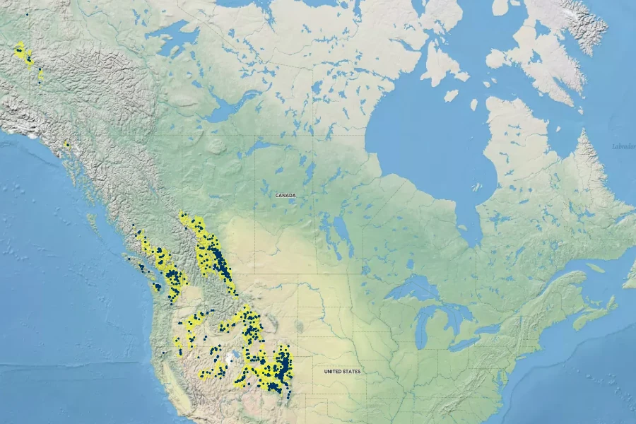 Phacelia sericea Native Range