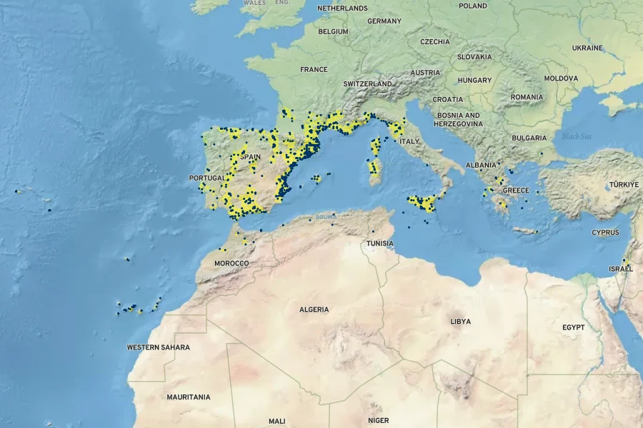 Phalaris canariensis Native Range
